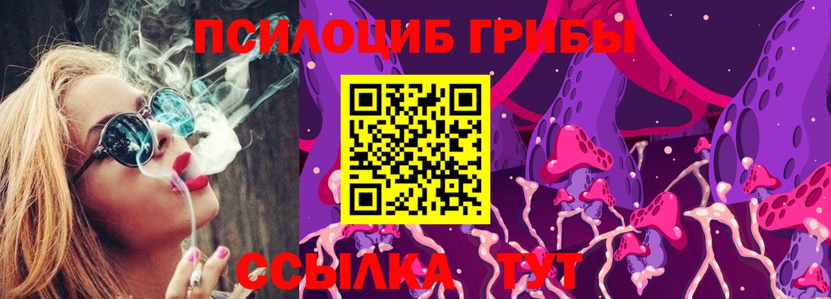 Галлюциногенные грибы прущие грибы Гатчина